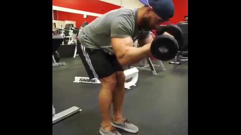 Сгибания зоттмана cub,fybz pjnnvfyf cub,fybz pjnnvfyf cub,fybz pjnnvfyf cub,fybz pjnnvfyf cub,fybz pjnnvfyf cub,fybz pjnnvfyf cu