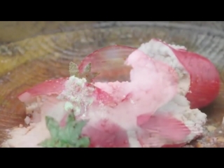 Molecular gastronomy׃ powdered ice cream inside candy strawberry