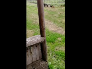 Vid 20190718 130244 mp4