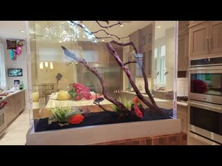 29 1 2020 video 2448 mp4