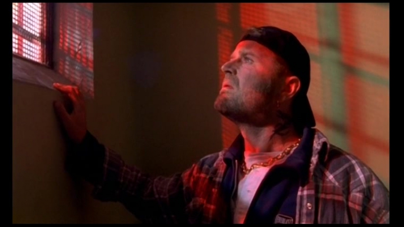 Быстрые стволы (в китае едят молодые) / i kina spiser de hunde (in china essen sie hunde)