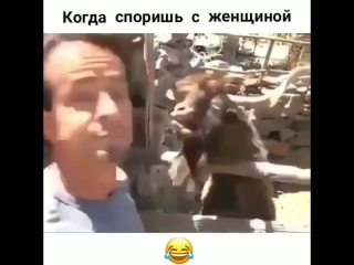 Почему не стоит спорить с женщиной