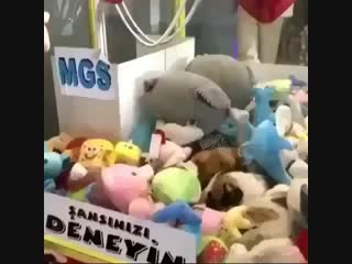 U nas veselo 2016 brotazvdz7c mp4