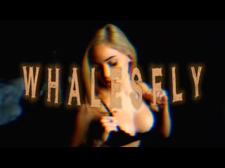 Whλlesfly ー fountλin (darkstar whitelight promo)