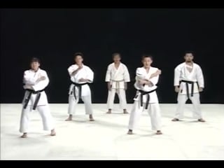 Karate best karate of katsunori tsuyama all of basic training