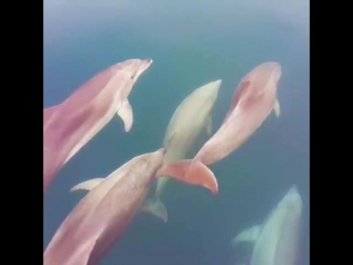 На море в Севастополе порно видео