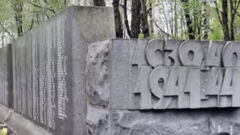 Высоцкий porn video – Владимир высоцкий на братских могилах