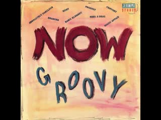 Now groovy jeronimo groovy 88 9 cd compilation 1994