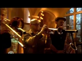 Клип бульдог шоу