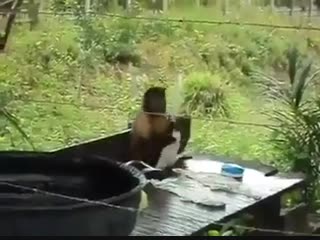 Большая стирка (vhs video)