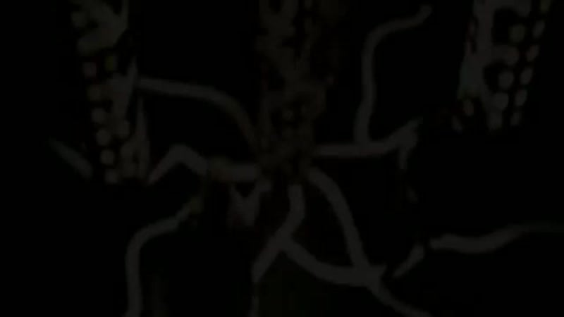 Guli asalxo'jayeva men va sen