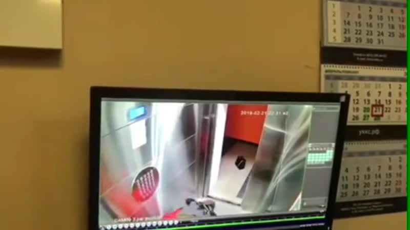 Нападение сексуального маньяка в купчино попало на видео