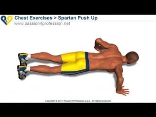 Spartan push up ( 300 workout )