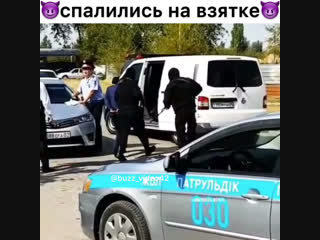 Спалились на взятке buzz video42