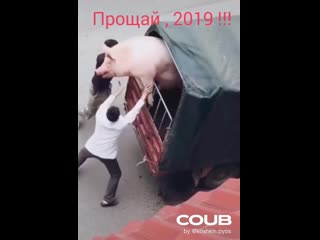 Прощай 2019 год прикол со свиньёй)))