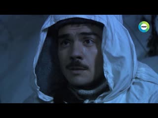 Ночные ласточки анонс