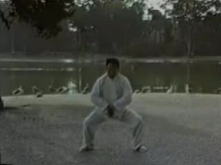 Taijiquan chen style chan ssu chin (silk reeling cocoon training)