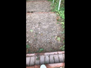 Live светлана николаенко вдохновение акварель