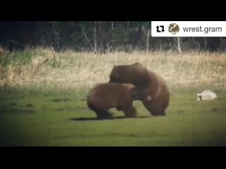 Kamila musina p 1762237974487436730 1 1762237974487436730 mp4