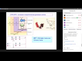 Толпа старых извращенцев забрызгали спермой одну молодую красотку! реальные старички