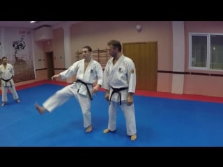 5 shotokan kata heian godan (kwf standart) by alex chichvarin