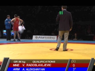 Aleksanyan artur (arm) radoslavljevic v (mne)