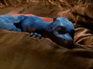 Baby saphira