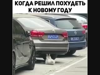 Хочешь похудеть к отпуску