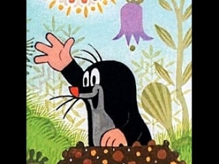 Чешский кротик (6)