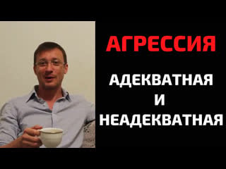 Адекватная и неадекватная агрессия