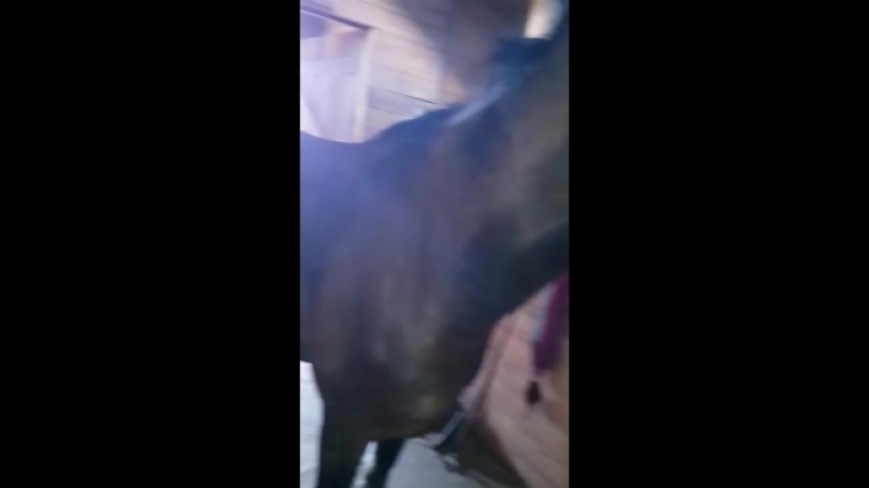 Уснейшие печеньки