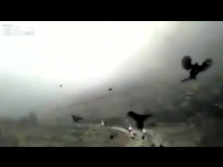 Кто сказал, что курицы не летают (vhs video)