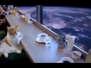 Идущий к реке