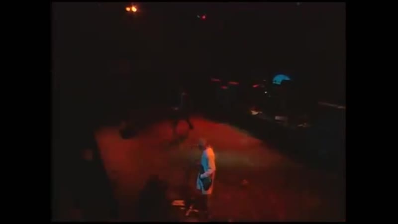 Padla bear outfit zaebal (live at homecultism)