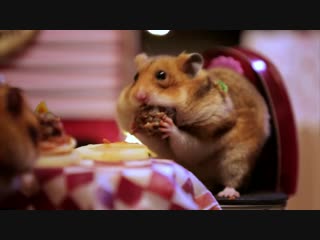 Tiny hamsters tiny date (ep 5)