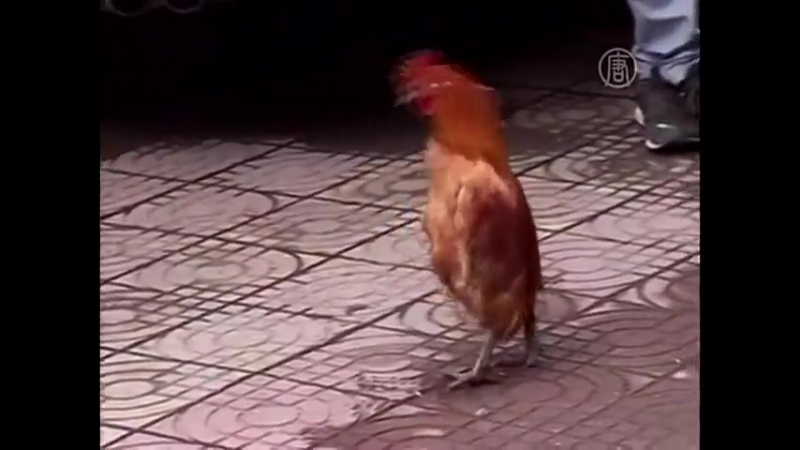 Когда идёшь с качалки