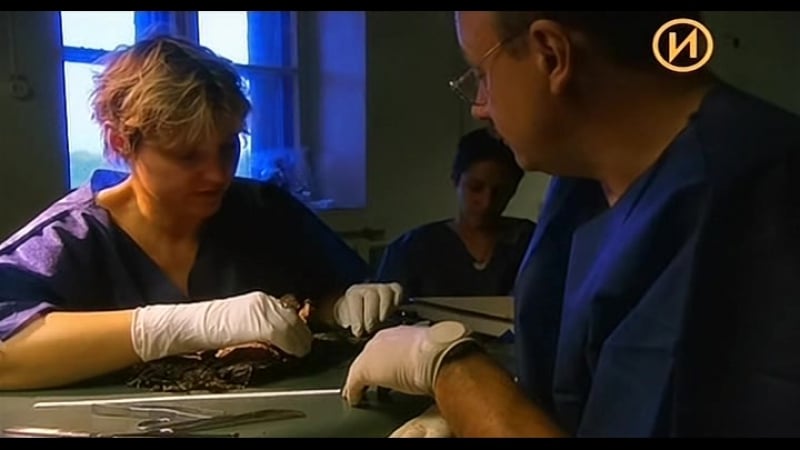 Мумия, пришедшая с холода / the mummy who came in from the cold / (2007) документальный фильм