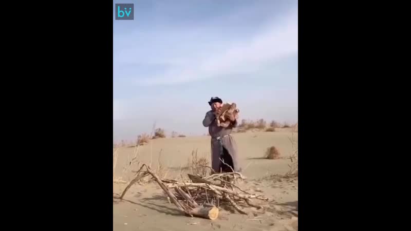 Обычный день в монголии