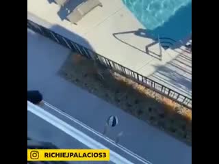 Think these @indians players could have a future in the nba if they fancied it anyone reckon they could manage this