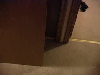 Русский инцест сын, дочь и мать трахаются в ваннорусский инцест сын, дочь и мать трахаются в ванно