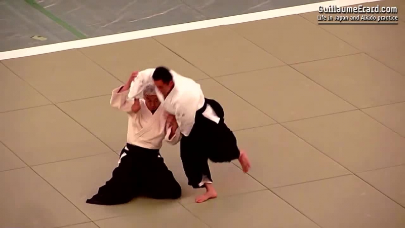 Aikido ueshiba moriteru doshu 51st all japan aikido demonstration