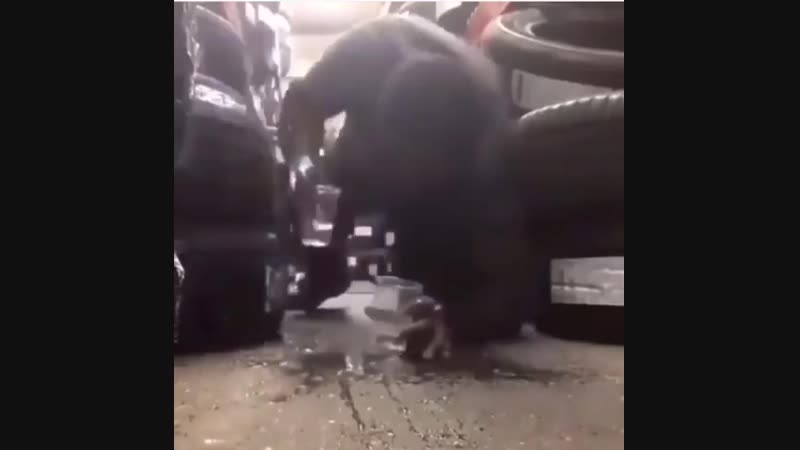 Когда меня просто попросили принести воды😅