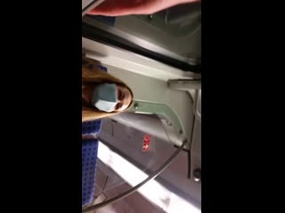 Cdu tring porn me dbahn years trying sex on flixbus same driver colluding stuttgart airport