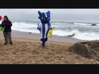 O draco está na praia do homem do leme