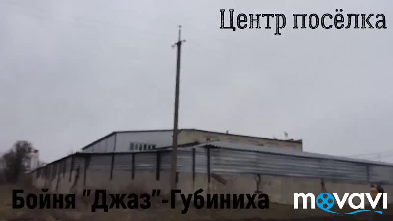 Губиниха молодые бойня