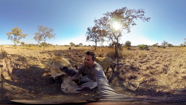 Gopro spherical kevin richardson wrestles with hyenas