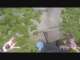 Moira fadejump eichenwalde