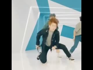 Песики танцуют