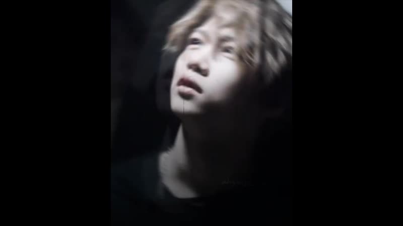 Stray porn vine ▸ felix lee