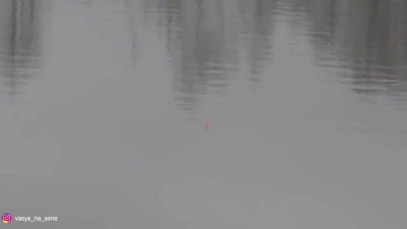 [вася на сене] хочу перевезти детей из африки к себе в русскую деревню